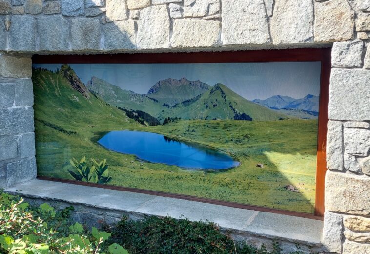 Vitrine adhésif