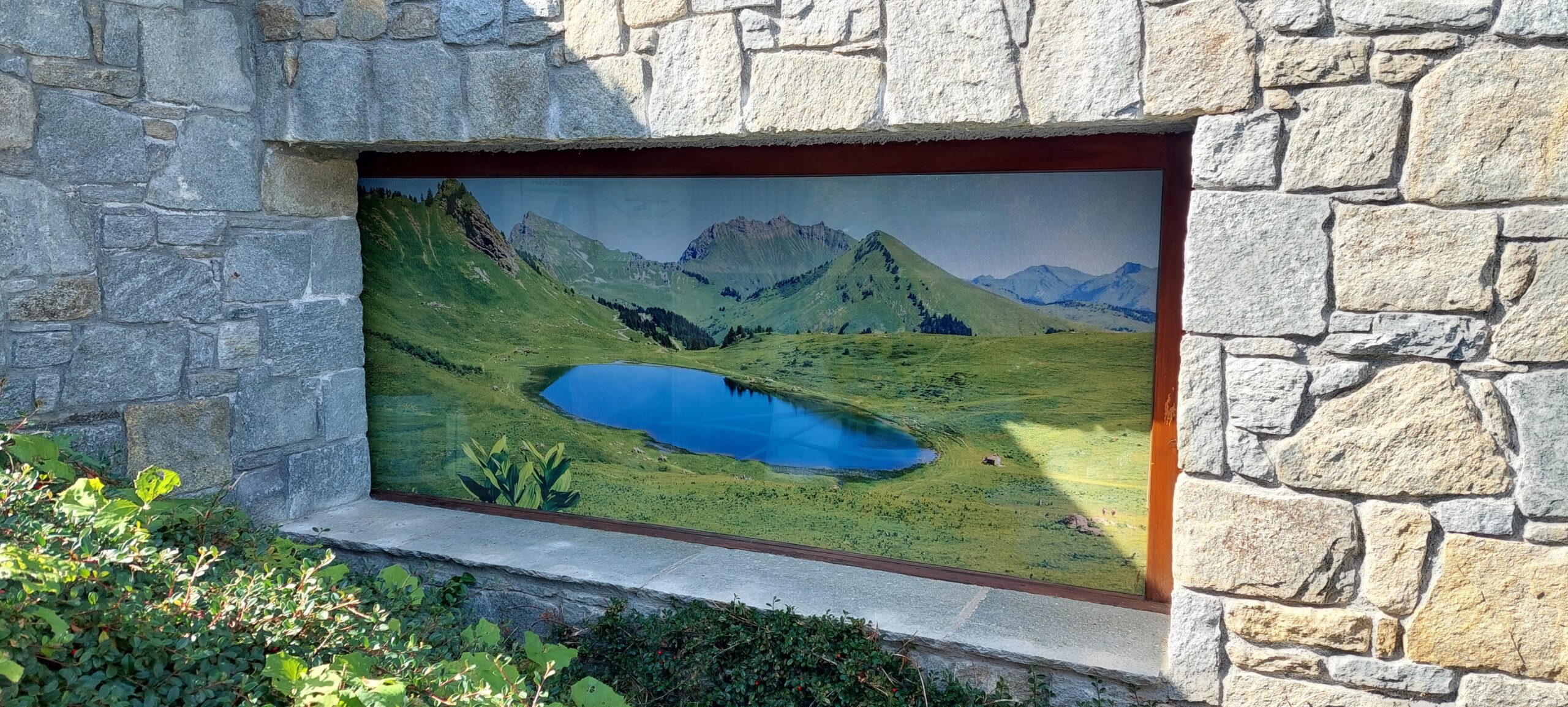 Vitrine adhésif